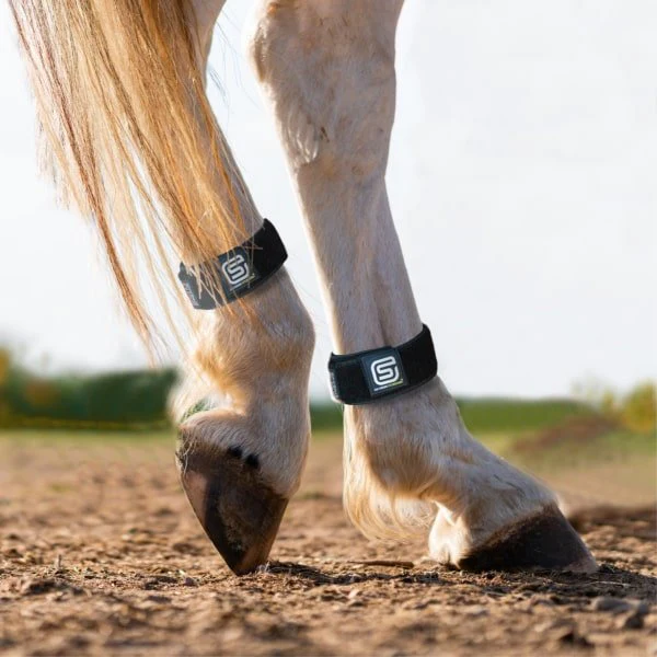 EQU StreamZ Magnetic Horse Bands (One pair) - Image 4